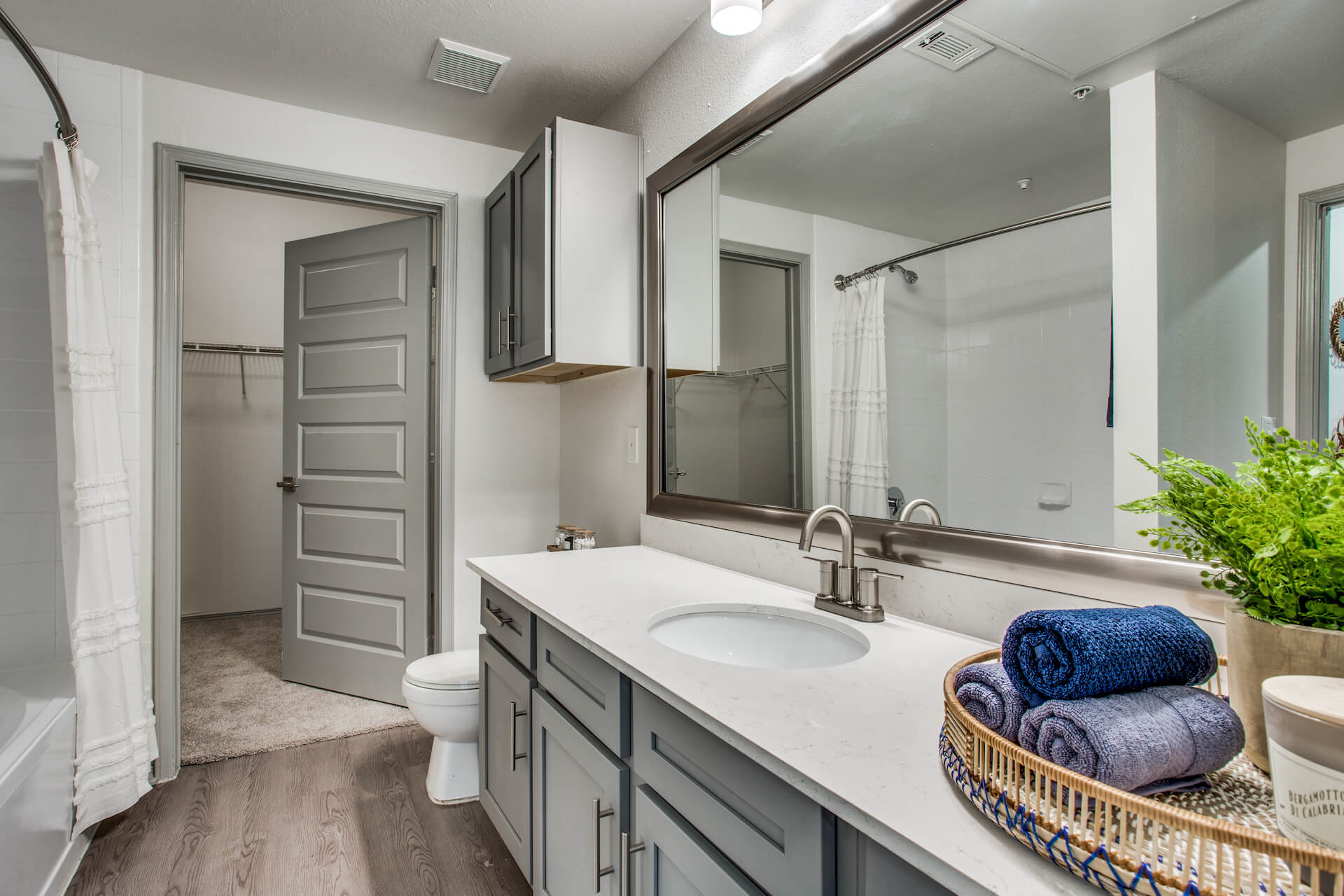 Bathroom and walk-in closet